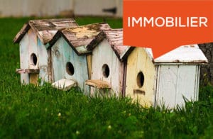 biens immobiliers