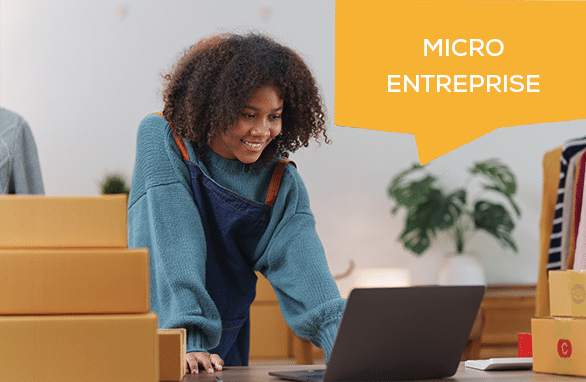 micro-entrepreneurs